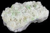 Green Augelite Crystals on Quartz - Peru #173389-2